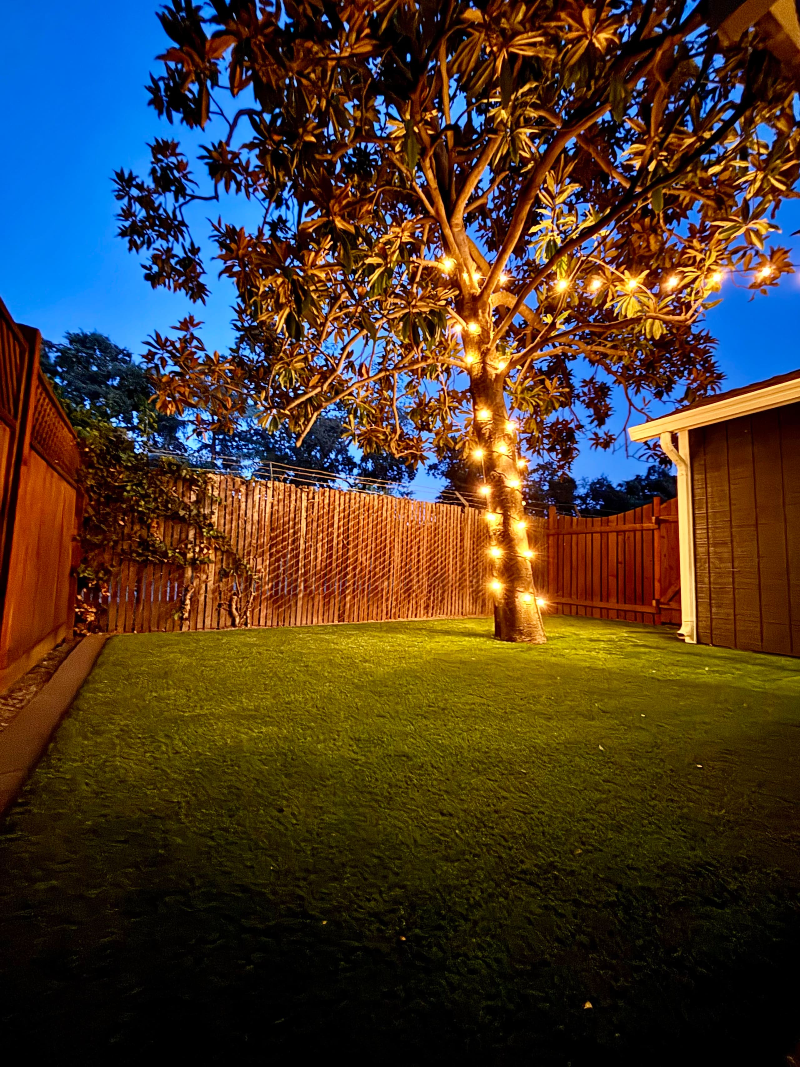 The Magnolia Modern Luxury Near Trails - Photo 9