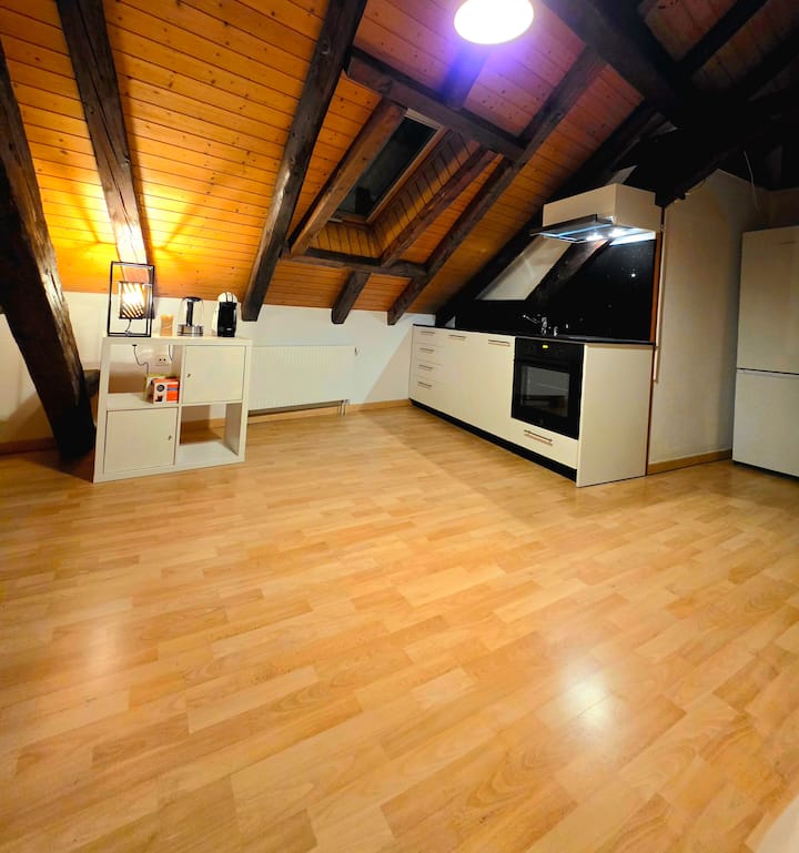 Estudio Centrico Funcional Y Tranquilo - Montreux
