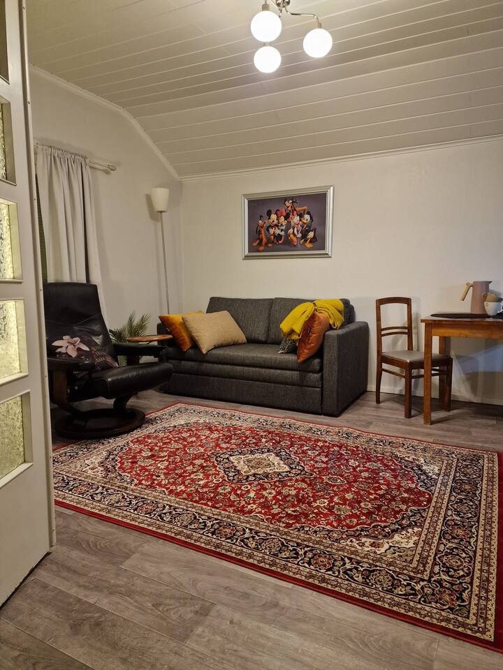 Idyllinen Pientalo Huoneisto - Rauma