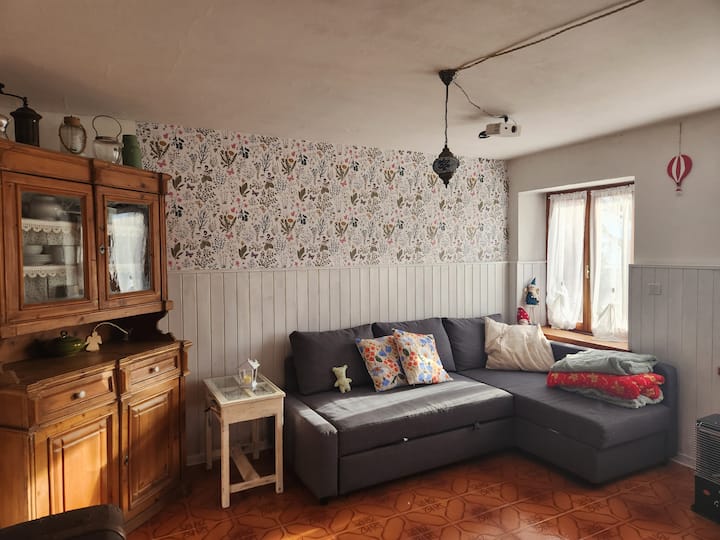 Living room with a sofa bed