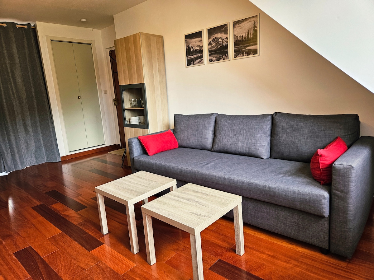 Successful Airbnb property: Charming Studio Bis balconies with mountain views in Bagnères De Luchon