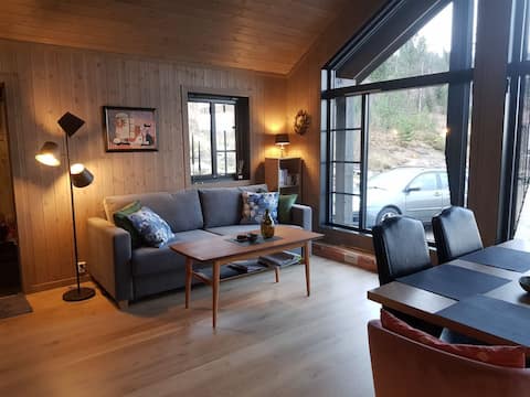 Popular Airbnb listing: Cozy cabin at Skrim in Kongsberg