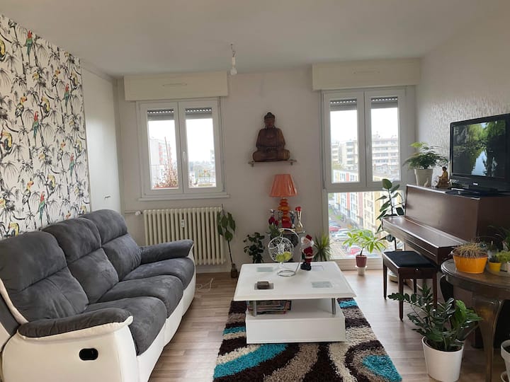 Chambres Dans Grand Appartement - Strasbourg