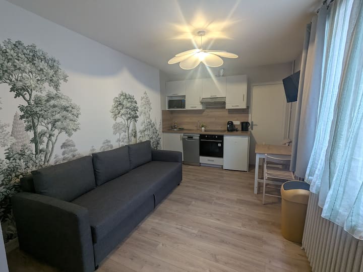 Poitiers Hyper Centre T2 - Poitiers