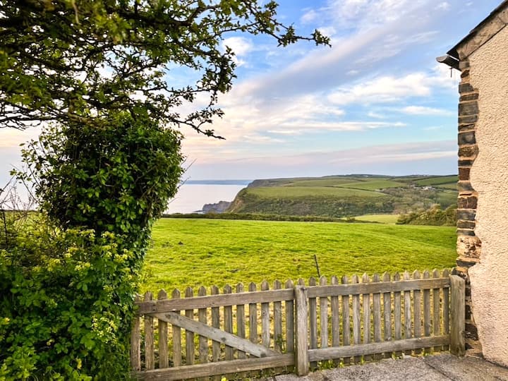 Raddons - Uk50657 - Crackington Haven