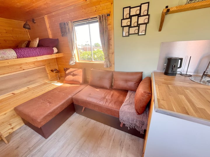 Luxury Converted Bedford Tk Horsebox - Towcester