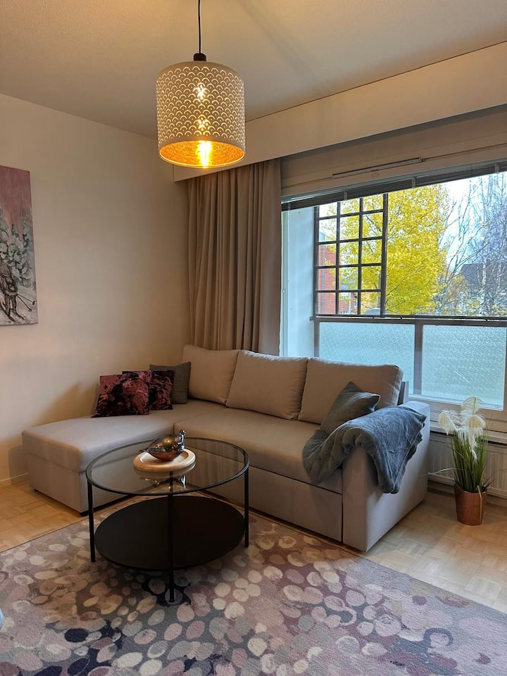 Cozy Winter City Centre Studio - Rovaniemi