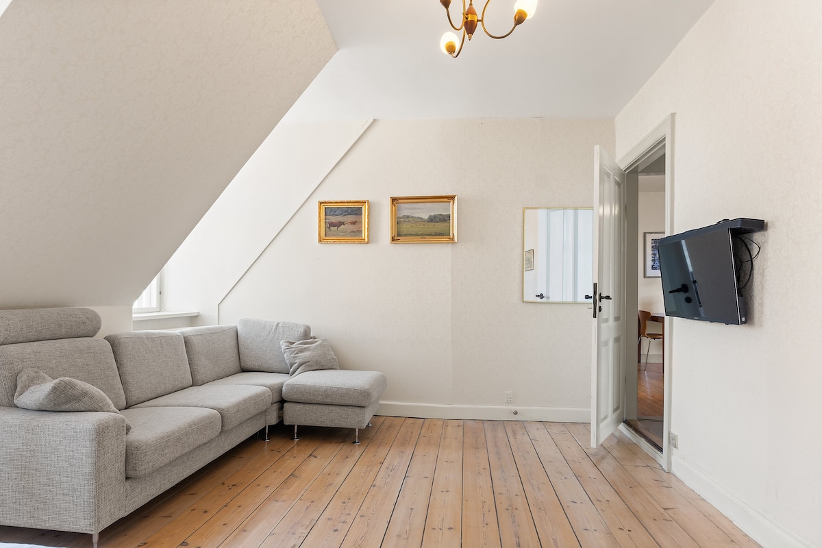 Curated visual reference: Fresh Look at City Center Cozy Penthouse Apartments For Rent In Copenhagen Denmark