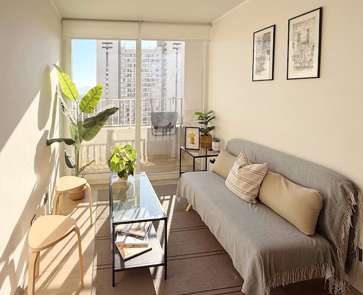 Loft-historic Downtown-near Subway-high Speed Wifi - Santiago