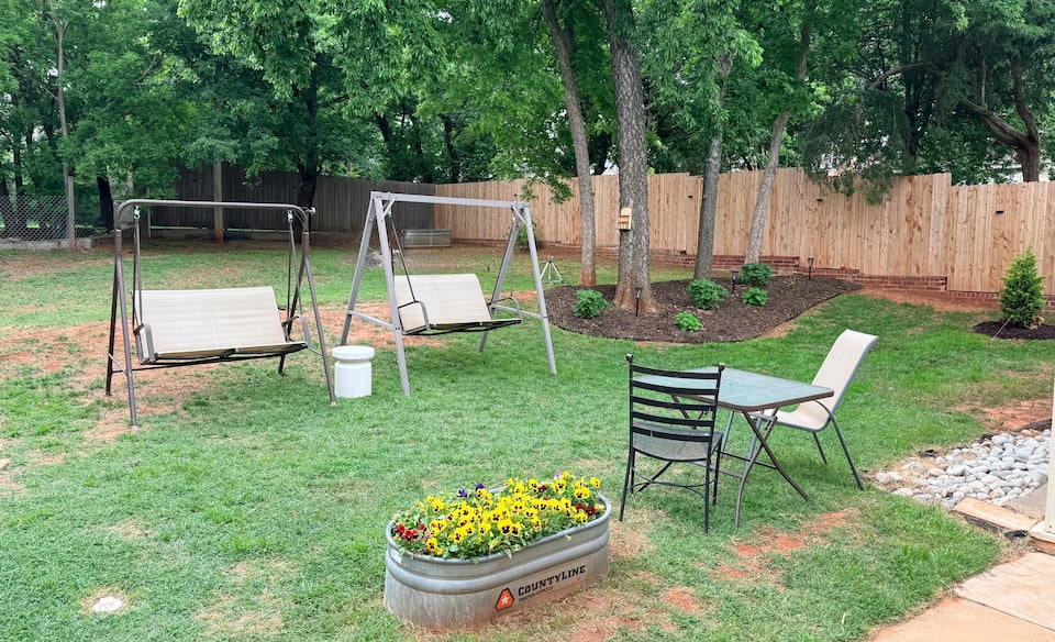 Backyard — lush green lawn