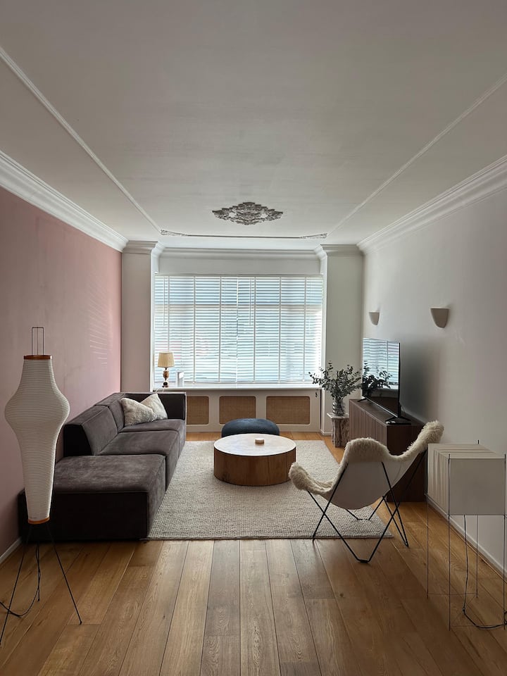 Ruim Appartement Aan De Singel In Hartje Leiden - Leiden