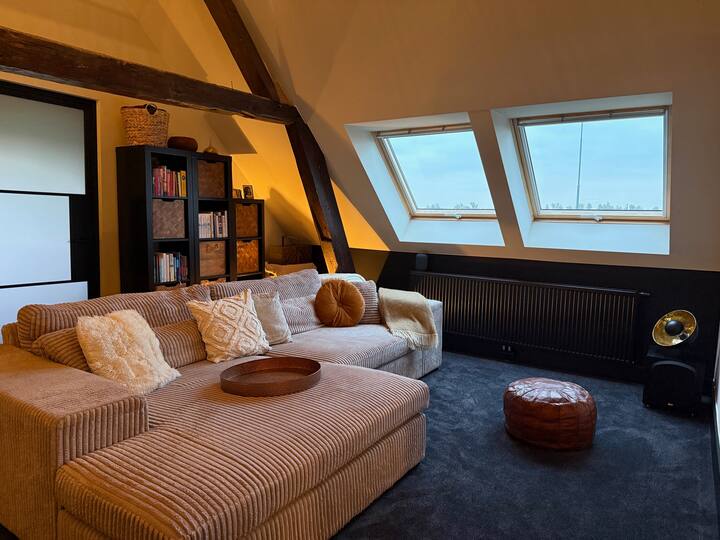 Luxury Farmhouse With Panoramic Nature Views - Leerdam