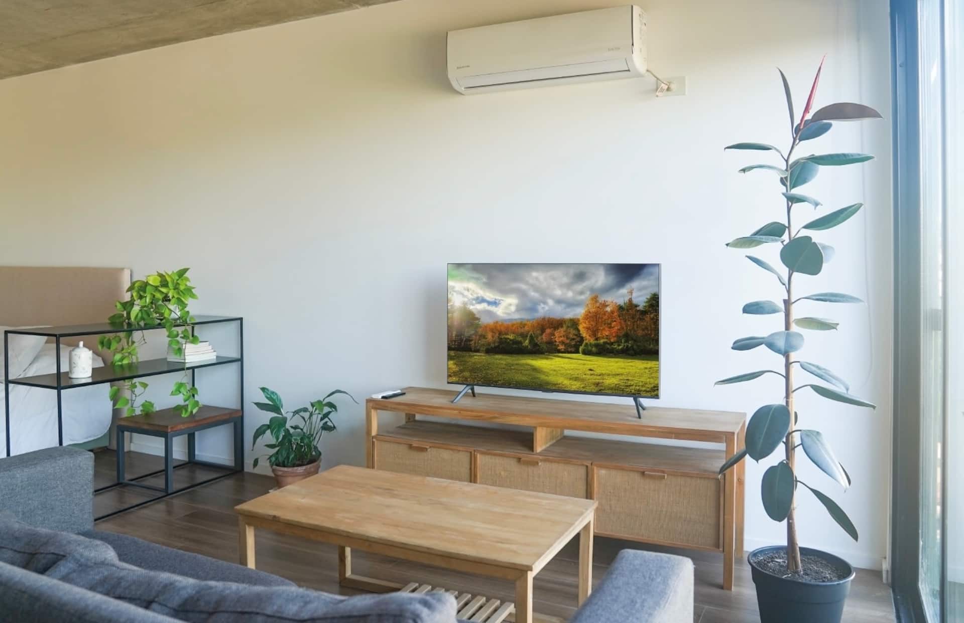 New studio: pool, garden, laundry, grill