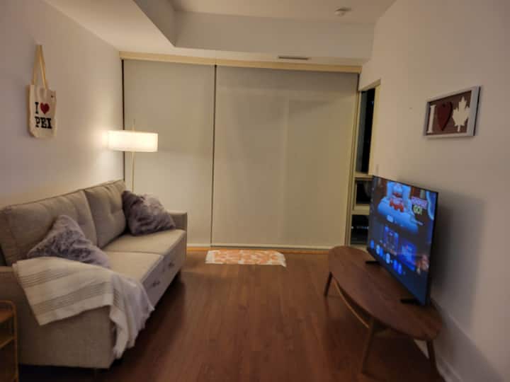 Уживајте на големиот кауч со 55-инчен Samsung Smart TV со Netflix, YouTube и друго подготвено за користење. 