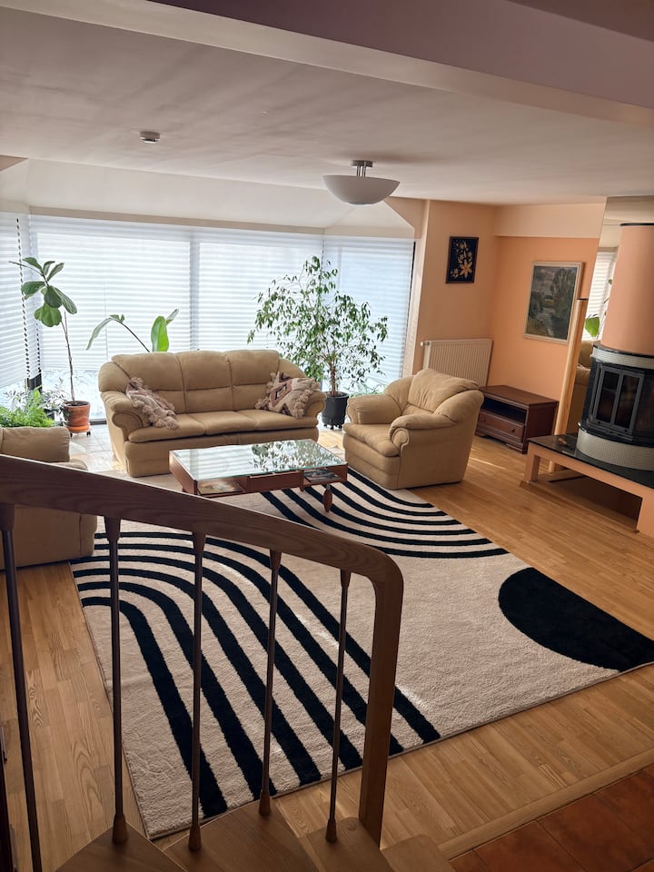 Cosy House In ŽVėrynas With Fireplace And Sauna - Vilnius