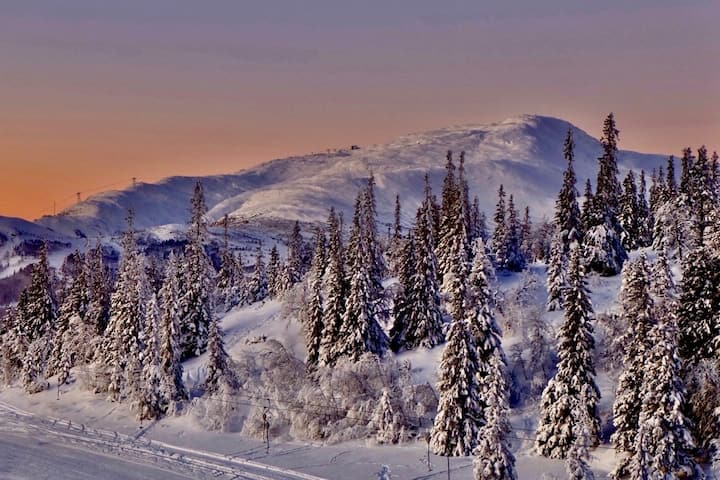 Studio Svartbygget - Åre