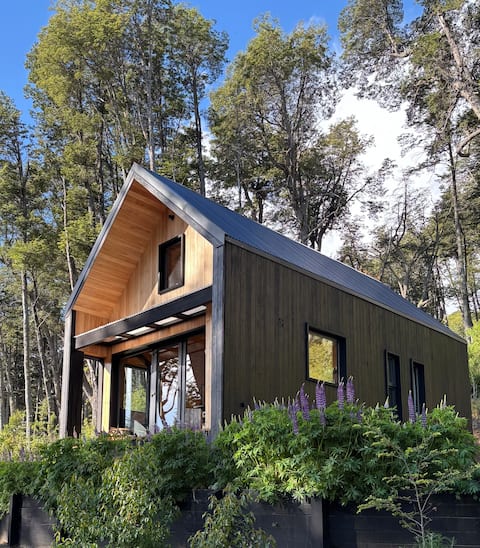 Casita del Bayo: lake view cabin in the woods