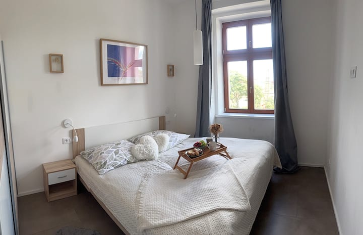 One-bedroom Newly Renovated Apartment With Netflix - プラハ