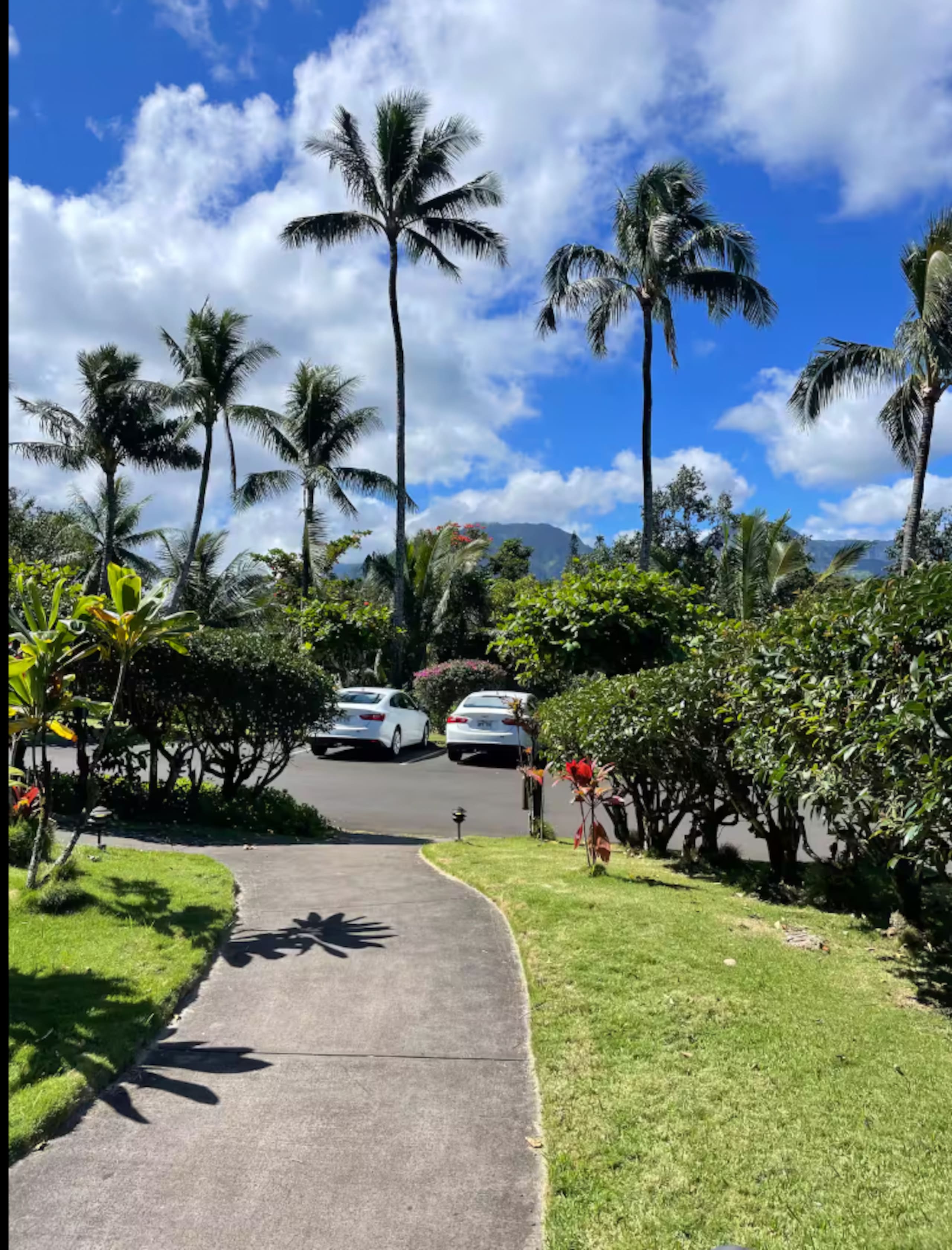 Condo in Princeville · ★4.96 · 1 bedroom · 2 beds · 1 bath - Image 28