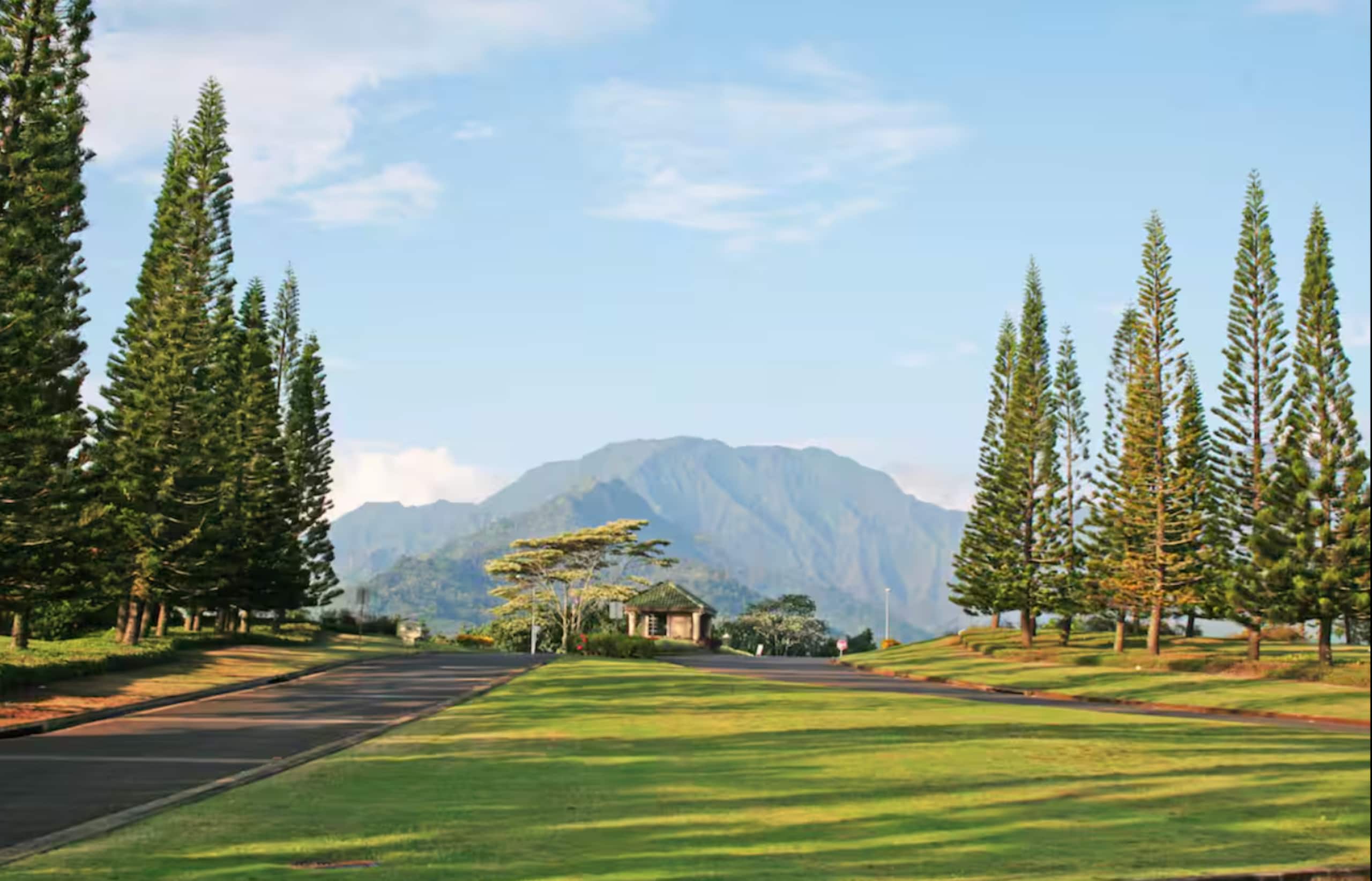 Condo in Princeville · ★4.96 · 1 bedroom · 2 beds · 1 bath - Image 33