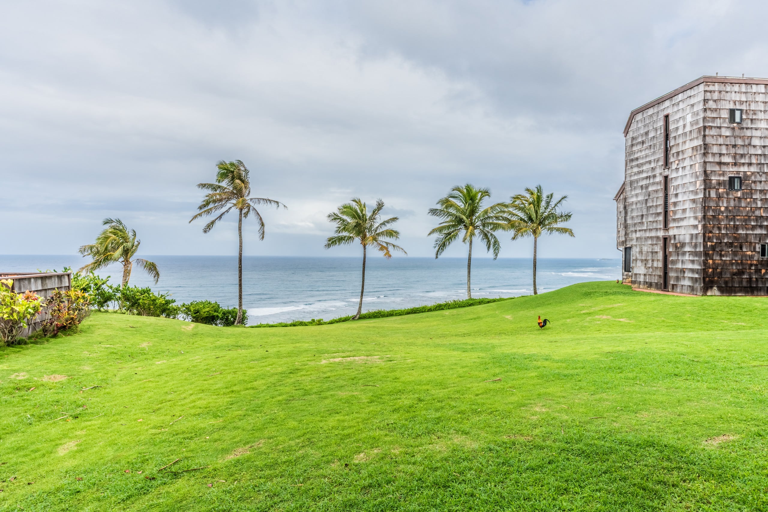 Condo in Princeville · ★4.96 · 1 bedroom · 2 beds · 1 bath - Image 35