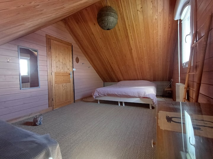 Habitación 1