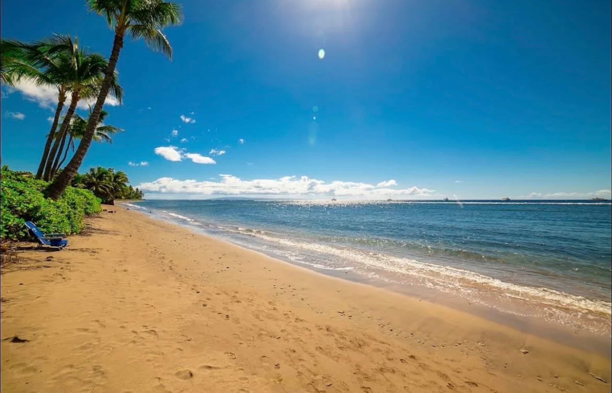 Steps To The Beach- Mountain Views- Lahaina Studio - Image 1
