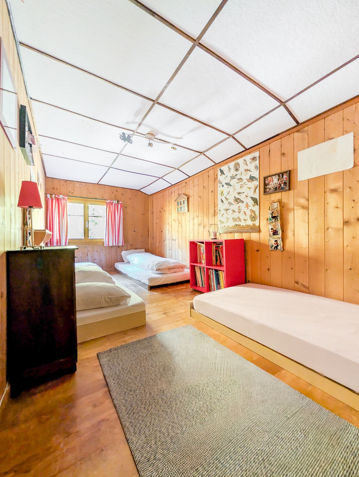 سريران مفردان مع كتب للقراءة.