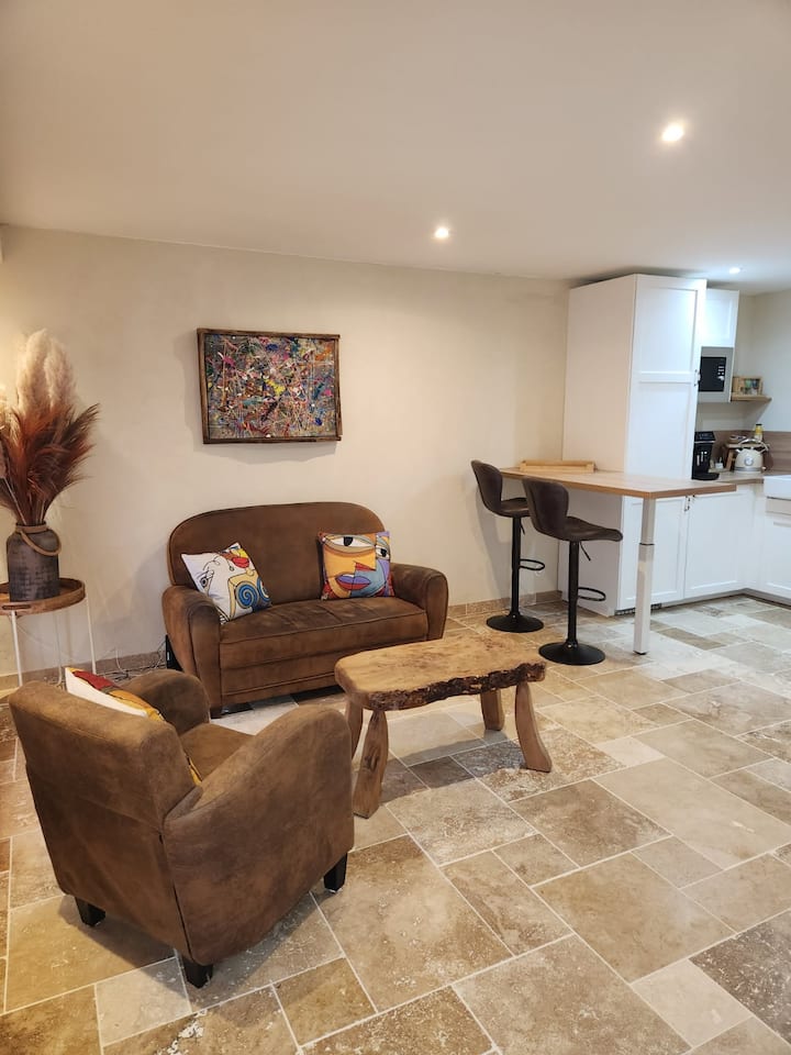 Appartement  Design Et Chaleureux En Centre-ville - Oyonnax