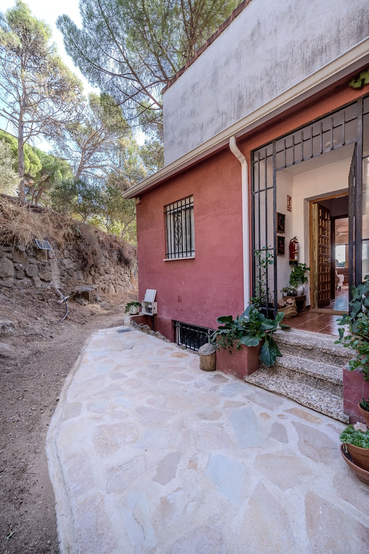 El entorno natural empieza en la puerta — pinos, piedra y tranquilidad a tu llegada.