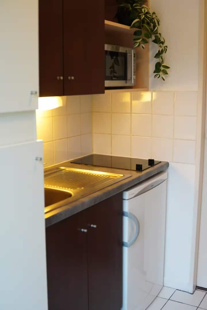 Studio Chaleureux, Vauban - Lille