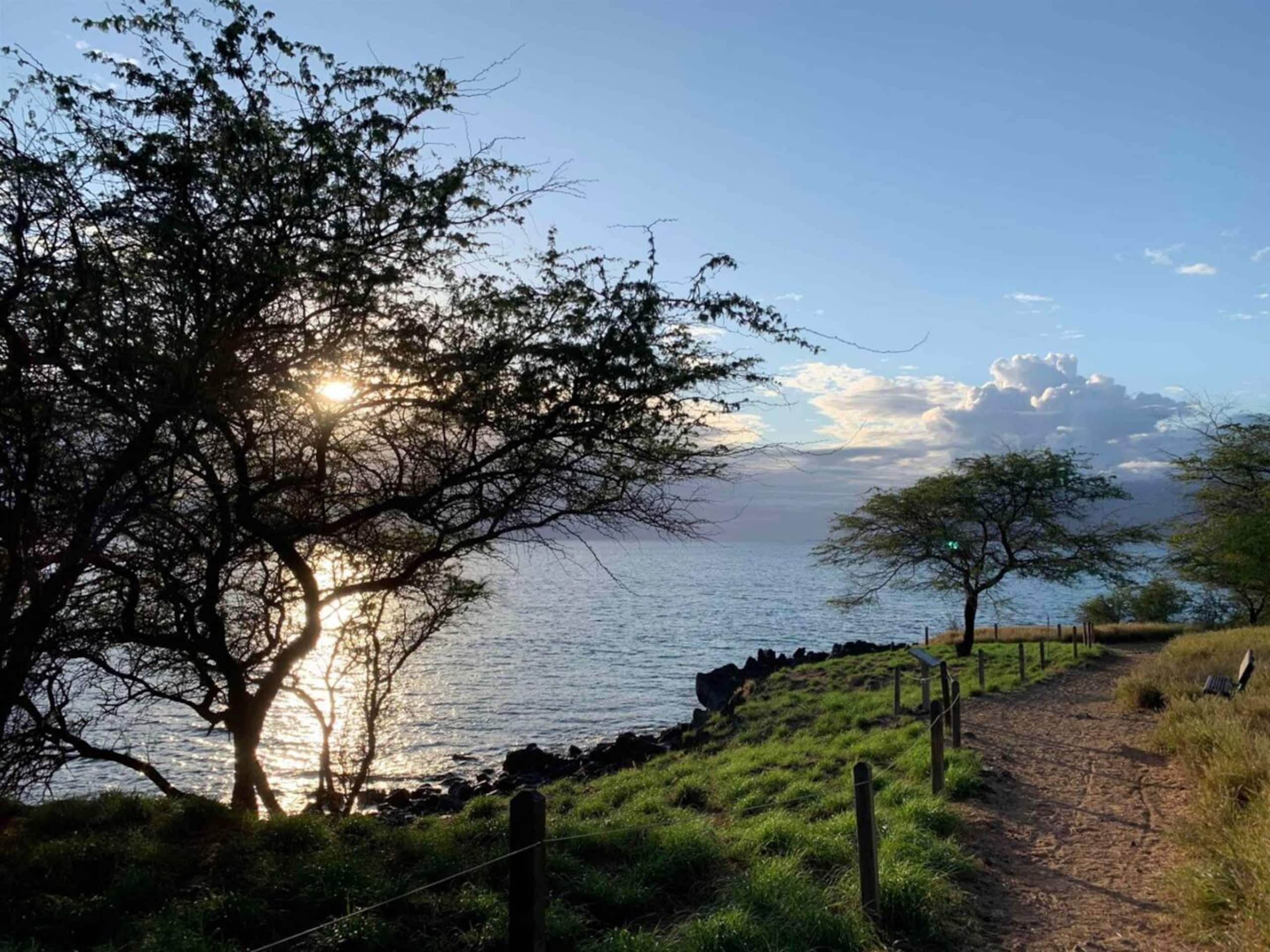 Condo in Kihei · ★5.0 · 2 bedrooms · 3 beds · 2 baths - Image 40