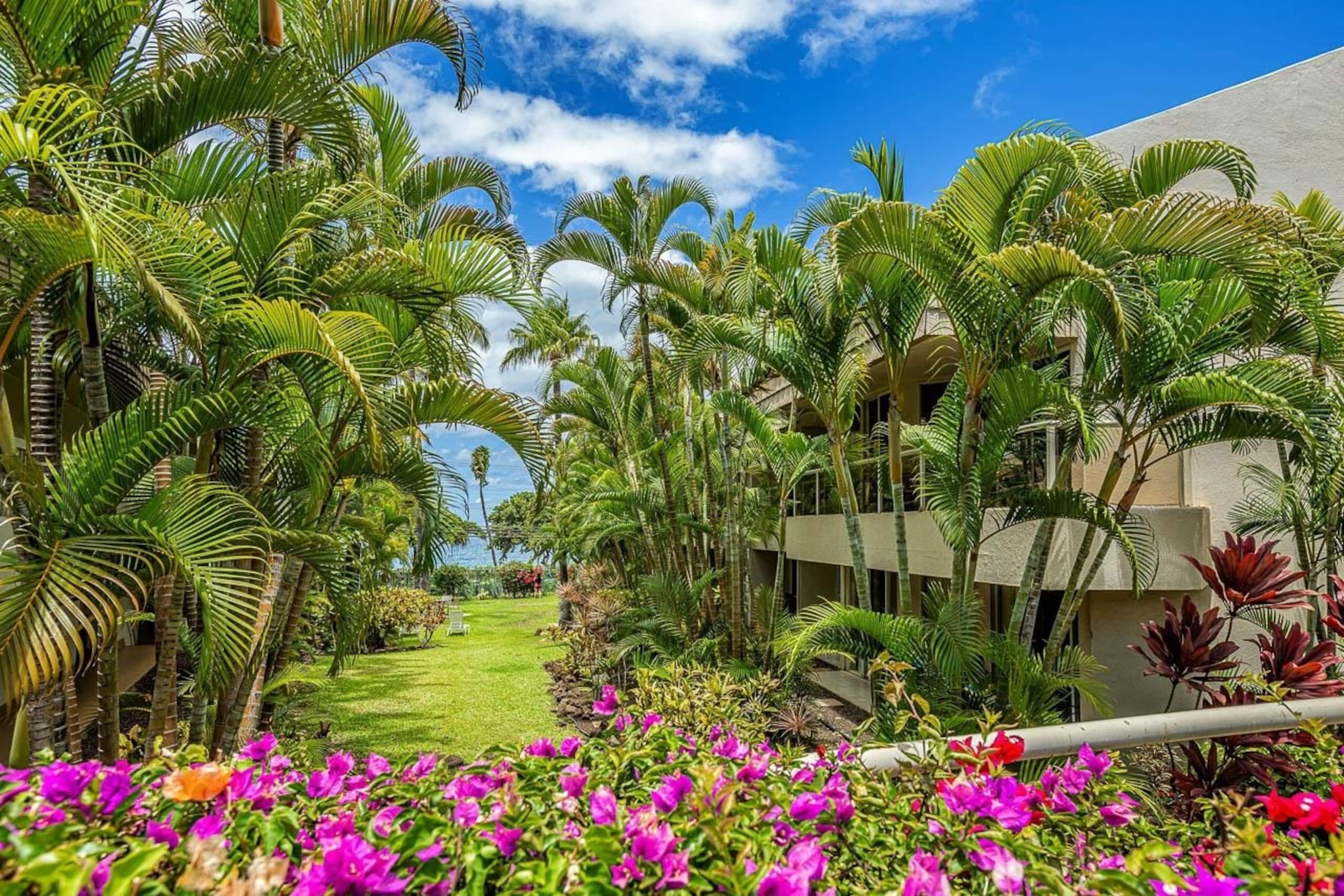 Condo in Kihei · ★5.0 · 2 bedrooms · 3 beds · 2 baths - Image 42