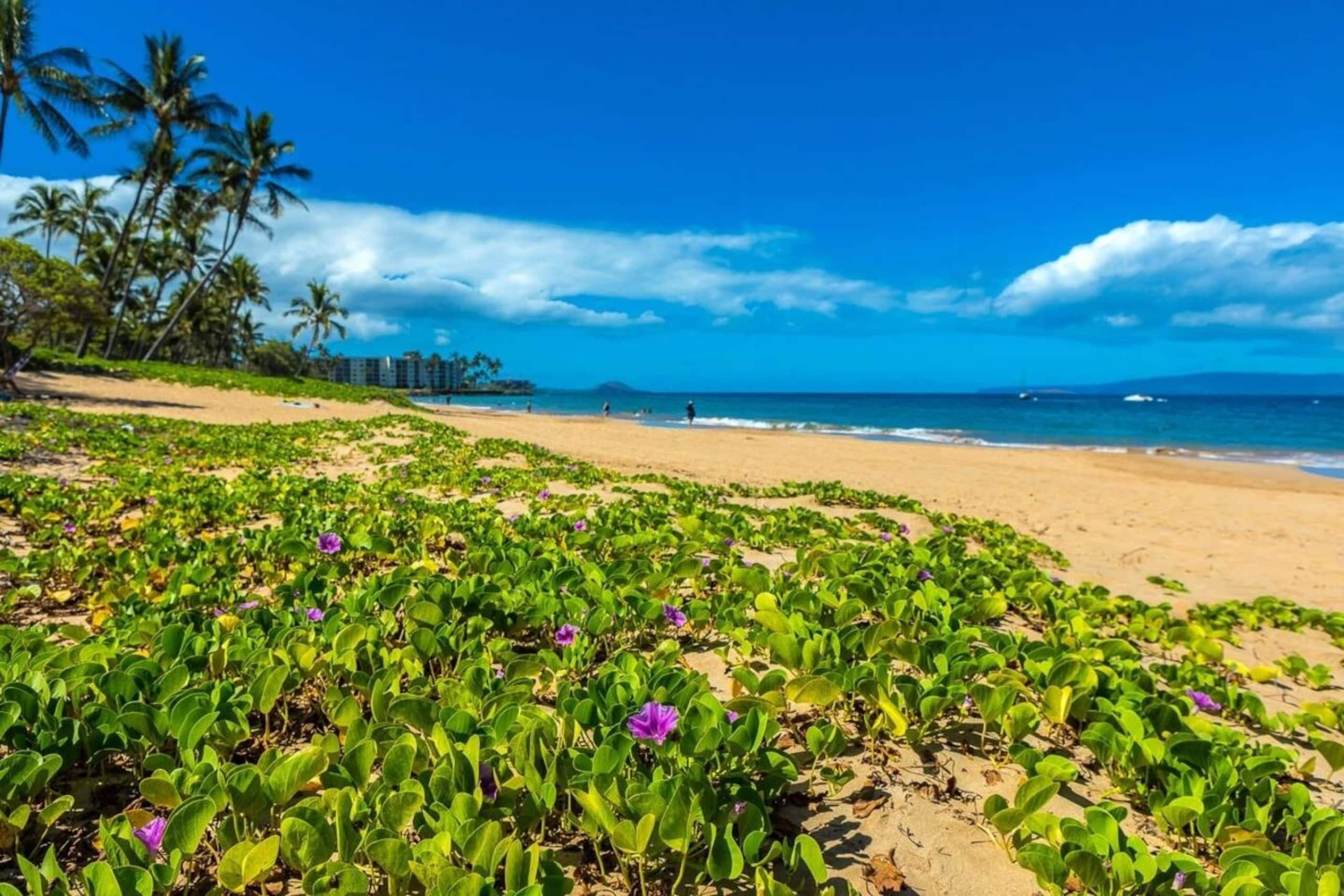 Condo in Kihei · ★5.0 · 2 bedrooms · 3 beds · 2 baths - Image 45
