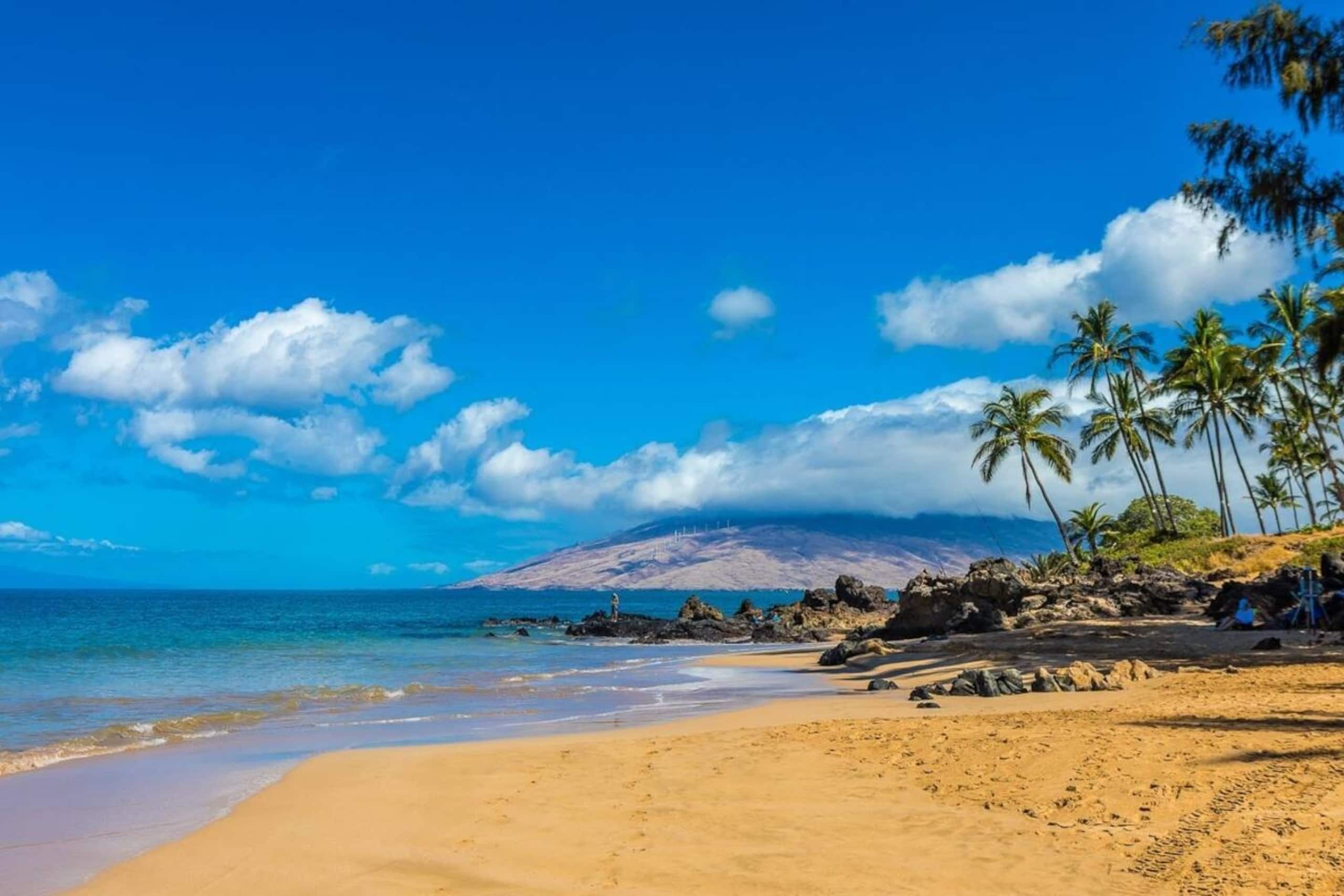 Condo in Kihei · ★5.0 · 2 bedrooms · 3 beds · 2 baths - Image 43