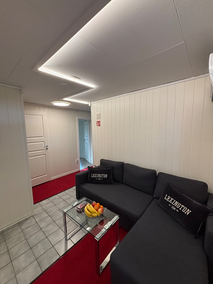 Comfy Stay Near Oslo Airport Families & Travelers - Oslo Airport (OSL)