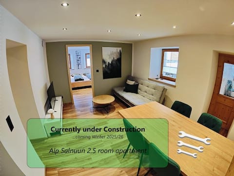 2.5 room apartment (Chasa Salnuun)