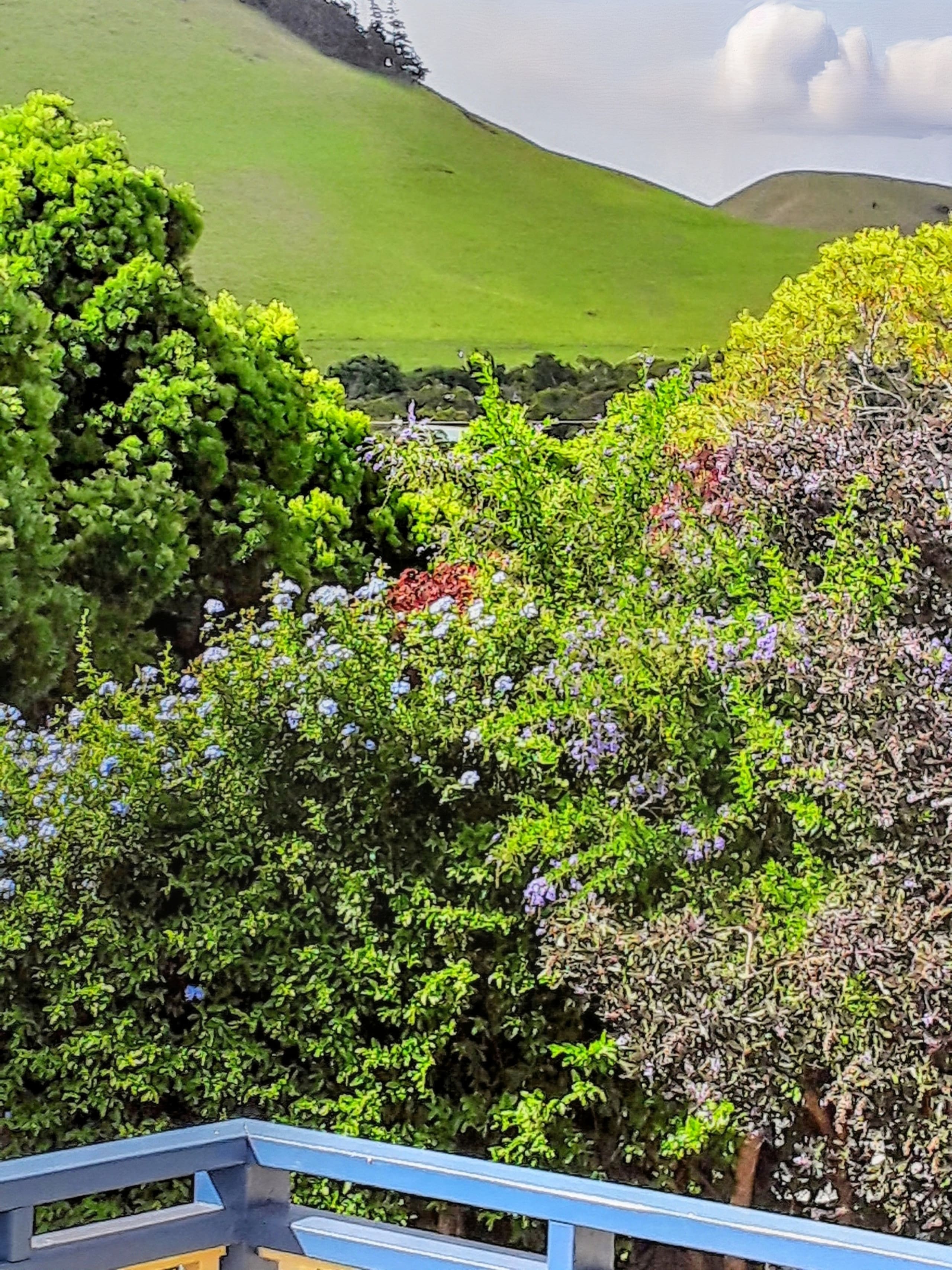 Home in Waimea · ★4.92 · 4 bedrooms · 6 beds · 3 private baths - Image 28