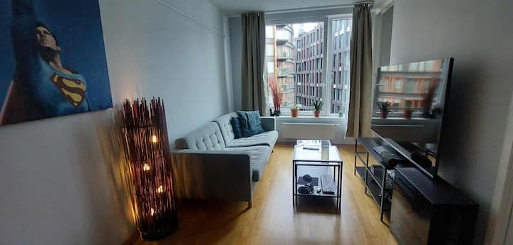 Waterfront Apartment In Fashionable Aker Brygge. - Oslo
