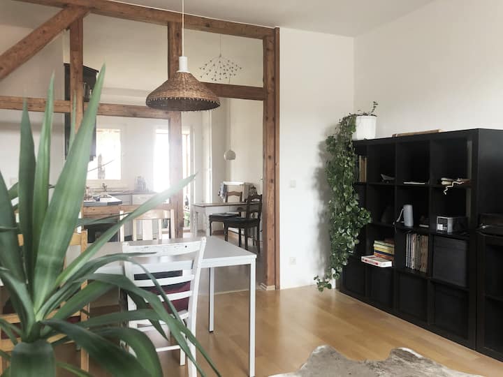 Friedas Haus ~ Apartment Near Golf Course - Bad Berka