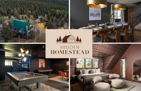 Luxury cabin: sauna, star gazing dome, movie room