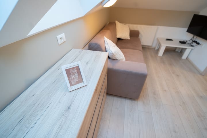 Vila Vesna; Sončen Apartma Sova - Ribčev Laz