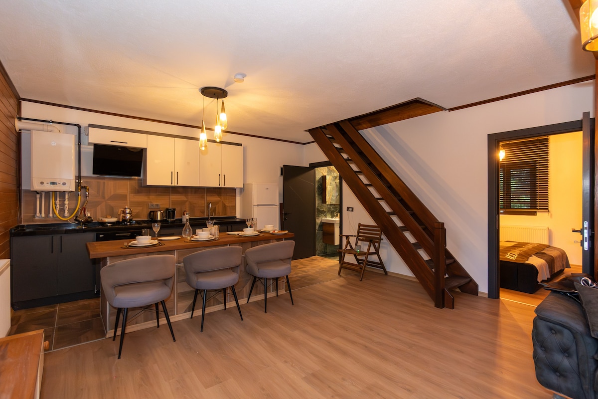 Mükemmel konumda dağ evi