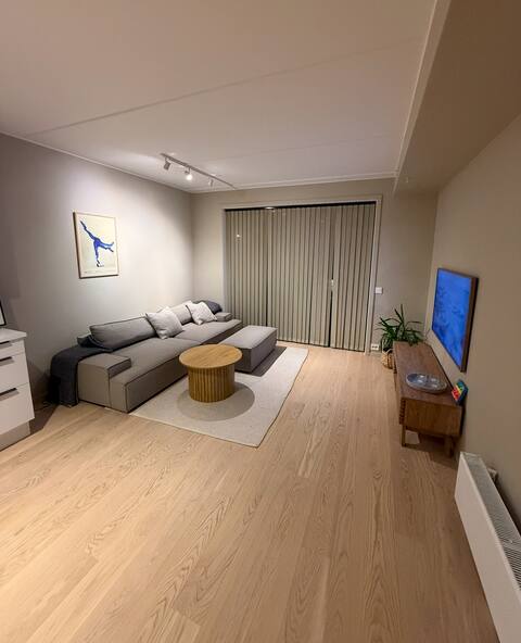 Top performing Airbnb: Cozy apartment in the heart of Tromsø in Troms