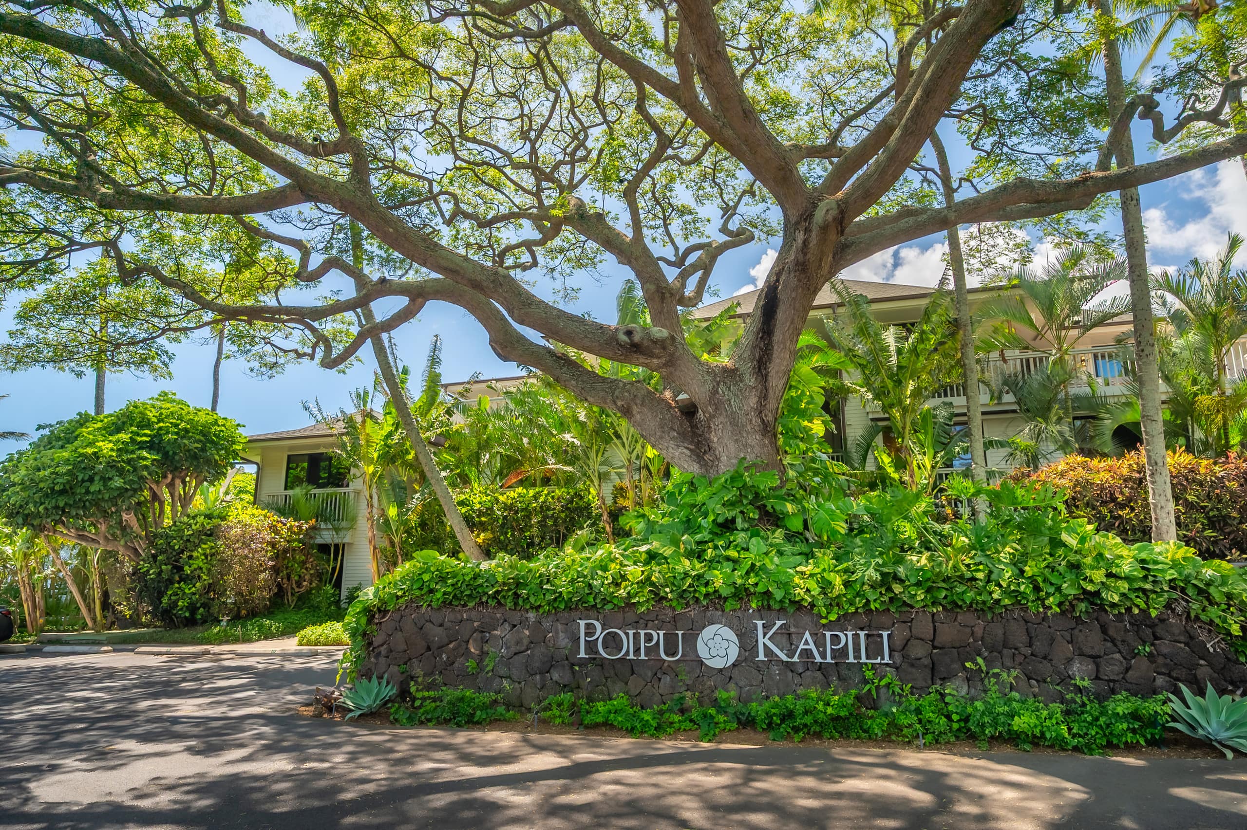 Poipu Kapili Unit 57 Oceanfront 2 Bedroom 3 Bath - Image 31