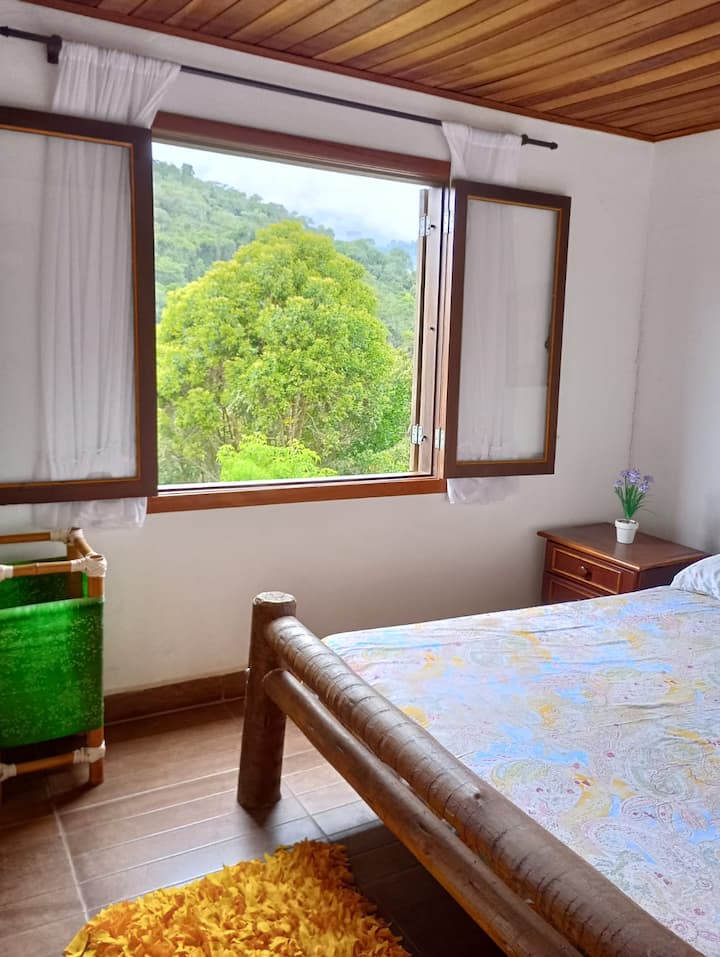 Quarto 1
