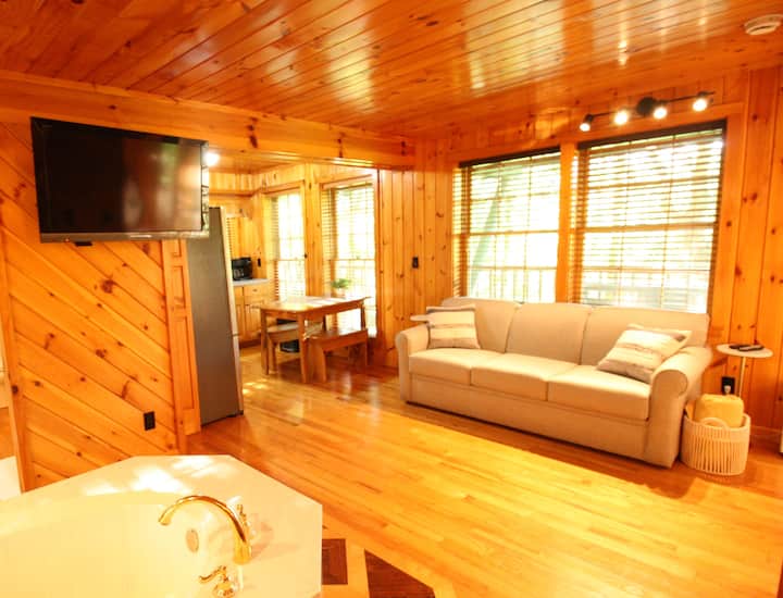 Haus In The Heart Of Helen - Lower Level Suite - Helen, GA
