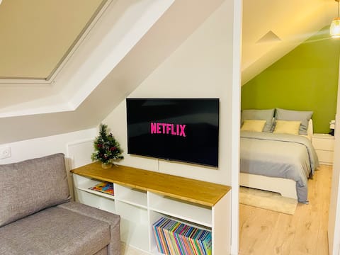 Top performing Airbnb: Cozy Nest under the Roofs - close to Disneyland in Lagny Sur Marne