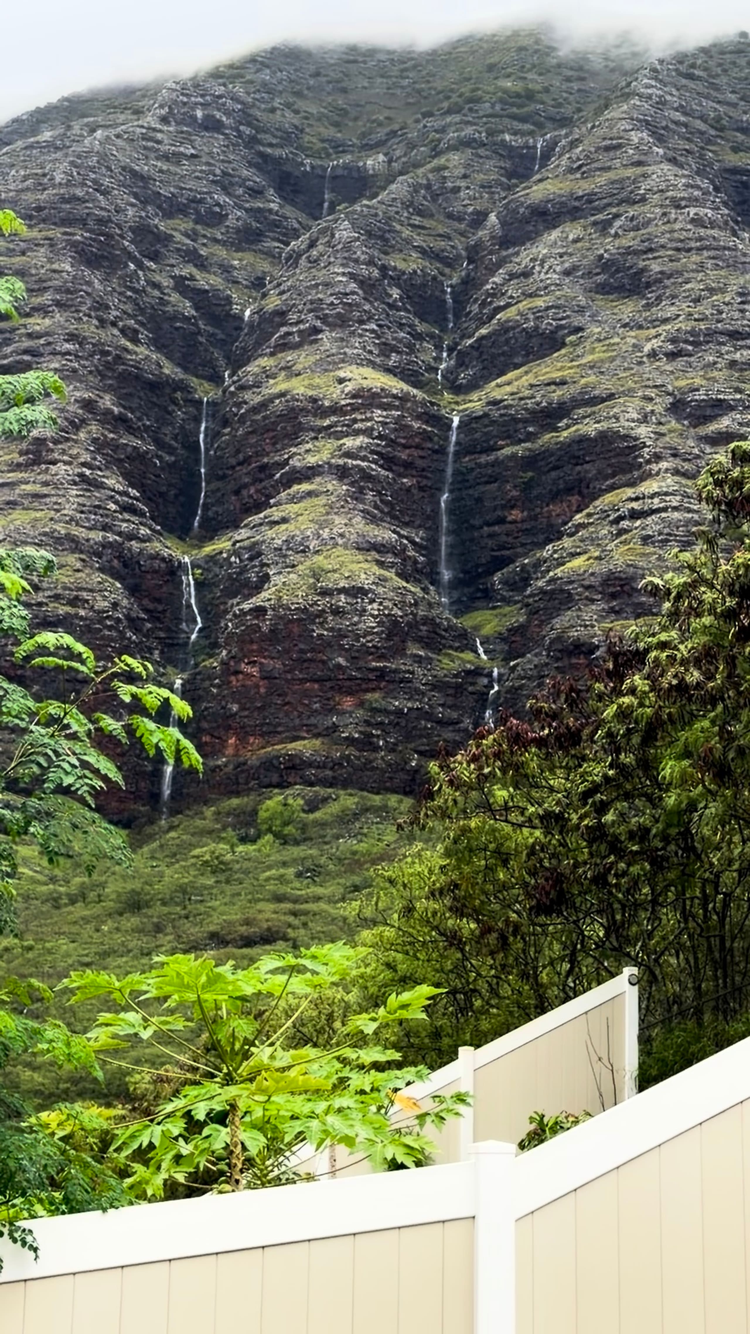 Home in Waianae · ★5.0 · 4 bedrooms · 8 beds · 2.5 private baths - Image 122