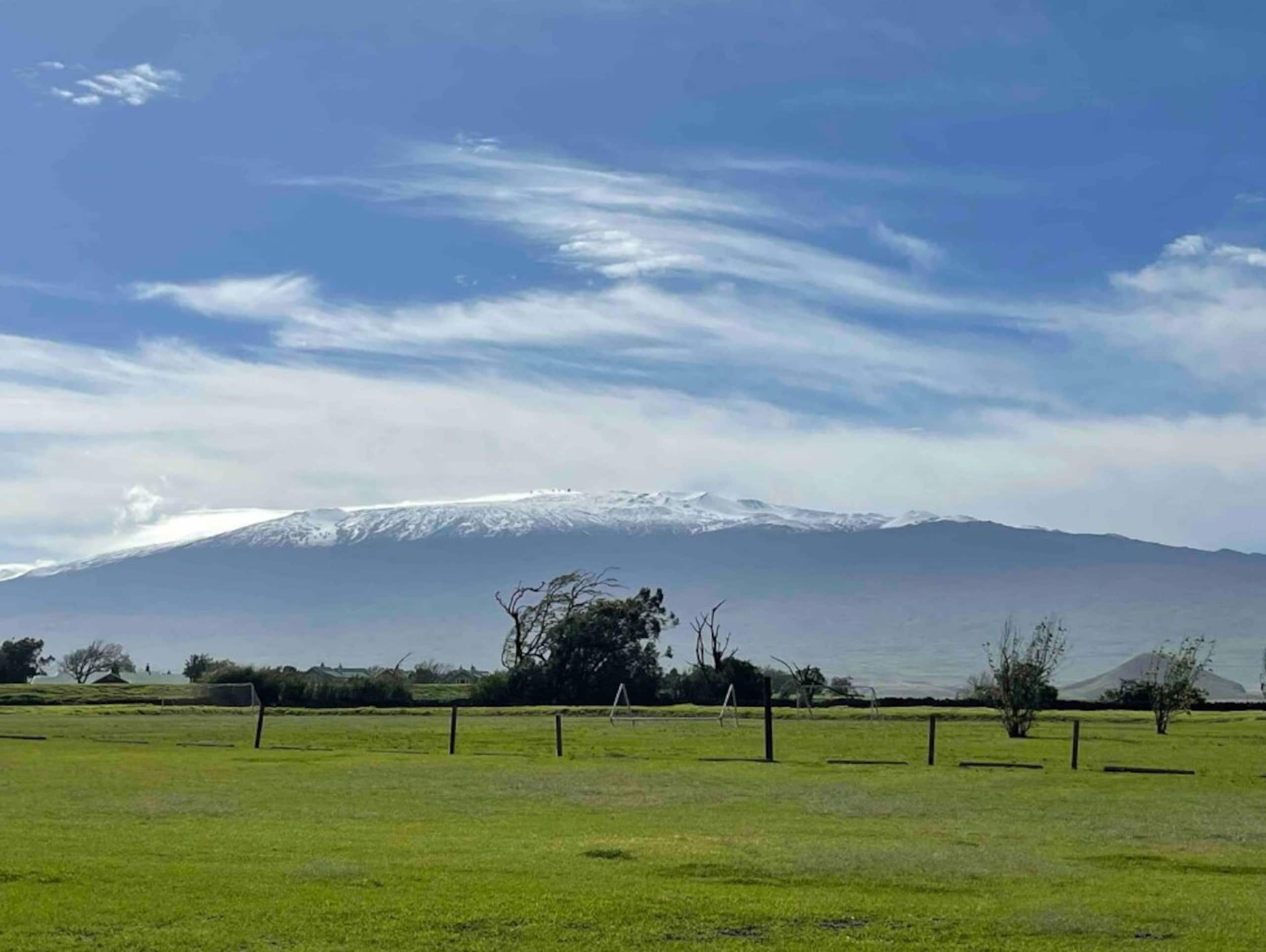 Heart of Waimea Studio – Walk Everywhere - Photo 21